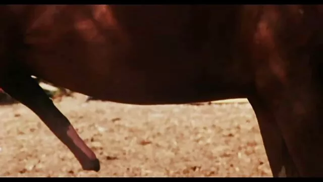 Tres lesbianas sexy tetonas follan en nuera y suegra follando la mesa de billar